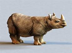 Rhino Roofing Paper